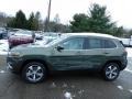 Olive Green Pearl - Cherokee Limited 4x4 Photo No. 9