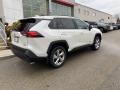 Blizzard White Pearl - RAV4 XLE AWD Hybrid Photo No. 14