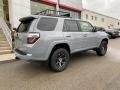 Cement 2021 Toyota 4Runner Trail Special Edition 4x4 Exterior