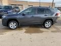 Magnetic Gray Metallic - RAV4 XLE AWD Photo No. 1