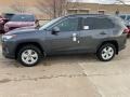 Magnetic Gray Metallic - RAV4 XLE AWD Photo No. 1