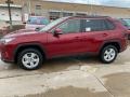 Ruby Flare Pearl - RAV4 XLE AWD Photo No. 1