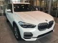 2021 Alpine White BMW X5 xDrive40i  photo #1