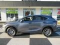 Nebula Gray Pearl 2020 Lexus NX 300