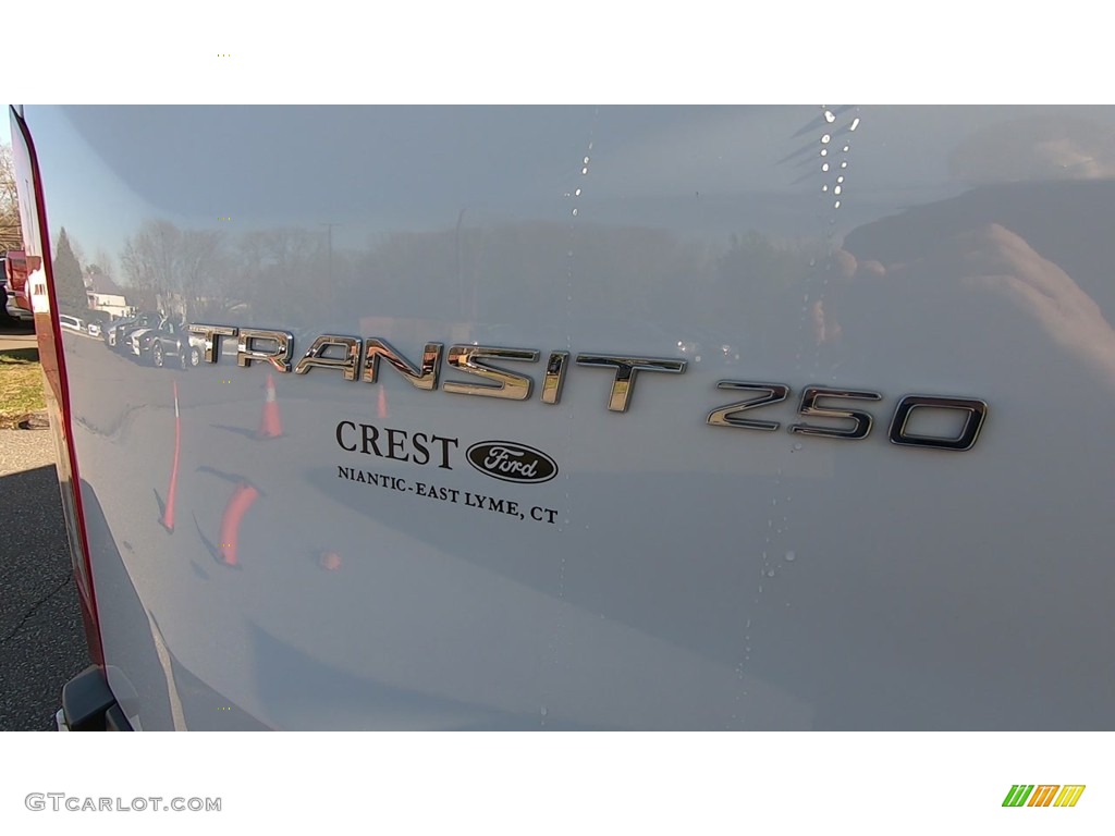 2019 Transit Van 250 LR Long - Oxford White / Pewter photo #9