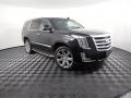 2015 Black Raven Cadillac Escalade Luxury 4WD  photo #4