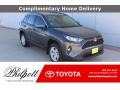 Magnetic Gray Metallic - RAV4 XLE Photo No. 1