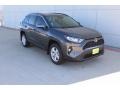 Magnetic Gray Metallic - RAV4 XLE Photo No. 2