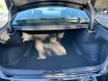 Black Trunk Photo for 2021 Dodge Charger #140629820