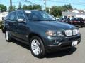 2006 Highland Green Metallic BMW X5 4.4i  photo #2