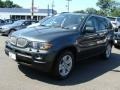 2006 Highland Green Metallic BMW X5 4.4i  photo #4