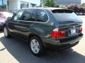 2006 Highland Green Metallic BMW X5 4.4i  photo #6