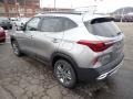 Gravity Gray - Seltos S AWD Photo No. 7