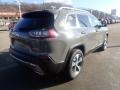 Sting-Gray - Cherokee Limited 4x4 Photo No. 5