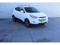 2014 Winter White Hyundai Tucson SE  photo #2