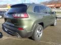 Olive Green Pearl - Cherokee Limited 4x4 Photo No. 5