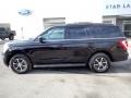 Agate Black Metallic - Expedition XLT 4x4 Photo No. 2