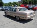 Light Driftwood Metallic - DeVille Sedan Photo No. 4