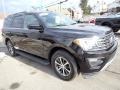2019 Agate Black Metallic Ford Expedition XLT 4x4  photo #8