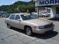Light Driftwood Metallic - DeVille Sedan Photo No. 18