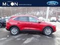 2020 Rapid Red Metallic Ford Escape SE 4WD  photo #1