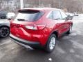 2020 Rapid Red Metallic Ford Escape SE 4WD  photo #2