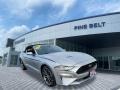 2019 Ingot Silver Ford Mustang EcoBoost Premium Fastback  photo #1