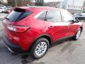 2020 Rapid Red Metallic Ford Escape SE 4WD  photo #6