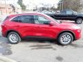 2020 Rapid Red Metallic Ford Escape SE 4WD  photo #7