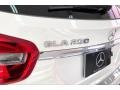 Polar White - GLA 250 Photo No. 31