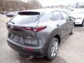 2021 Machine Gray Metallic Mazda CX-30 Select AWD  photo #2