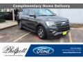 Magnetic 2018 Ford Expedition XLT Max