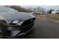 Magnetic - Mustang GT Fastback Photo No. 25
