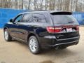 DB Black - Durango GT AWD Photo No. 6