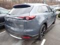 Polymetal Gray - CX-9 Carbon Edition AWD Photo No. 2