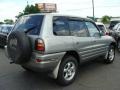 Quicksilver - RAV4 4WD Photo No. 3