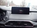 Polymetal Gray - CX-9 Carbon Edition AWD Photo No. 12