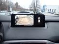 Polymetal Gray - CX-9 Carbon Edition AWD Photo No. 13