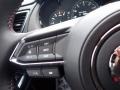 Polymetal Gray - CX-9 Carbon Edition AWD Photo No. 15