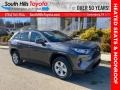 Lunar Rock - RAV4 XLE AWD Photo No. 1