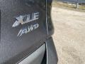 Magnetic Gray Metallic - RAV4 XLE AWD Photo No. 24