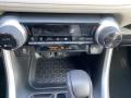 Silver Sky Metallic - RAV4 XLE AWD Photo No. 17
