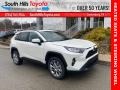 Blizzard White Pearl - RAV4 XLE Premium AWD Photo No. 1