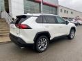 Blizzard White Pearl - RAV4 XLE Premium AWD Photo No. 14