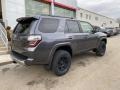 Magnetic Gray Metallic - 4Runner TRD Off Road 4x4 Photo No. 15