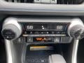 Black Controls Photo for 2021 Toyota RAV4 #140698260