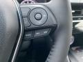 Coastal Gray Metallic - Venza Hybrid Limited AWD Photo No. 7