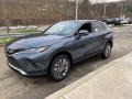 Coastal Gray Metallic - Venza Hybrid Limited AWD Photo No. 14