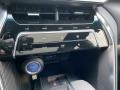 Coastal Gray Metallic - Venza Hybrid Limited AWD Photo No. 18