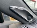 Coastal Gray Metallic - Venza Hybrid Limited AWD Photo No. 21